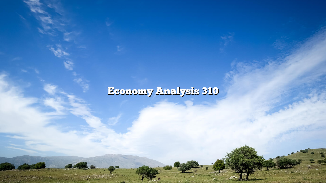 Economy Analysis 310
